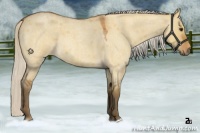 Horse Color:Silver Bay Roan Dun 