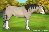 Horse Color:Brown Roan Dun Splash Rabicano