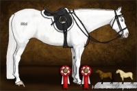 Horse Color:Cremello Near Leopard  and Cremello Near Leopard 