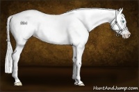Horse Color:White Spotted Cremello Blanket
