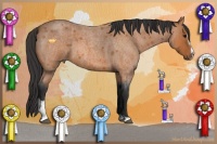 Horse Color:Bay Roan Sabino