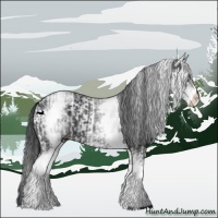 Horse Color:White Spotted Black and White Spotted Black