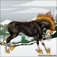 Horse Color:Liver Chestnut Ice 