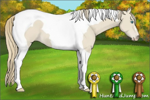 Horse Color:Smoky Creme Tobiano 