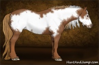 Horse Color:Chestnut Frame