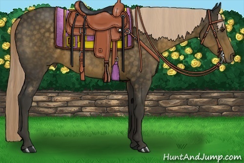 Horse Color:Chocolate Palomino 