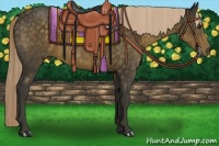 Horse Color:Chocolate Palomino 