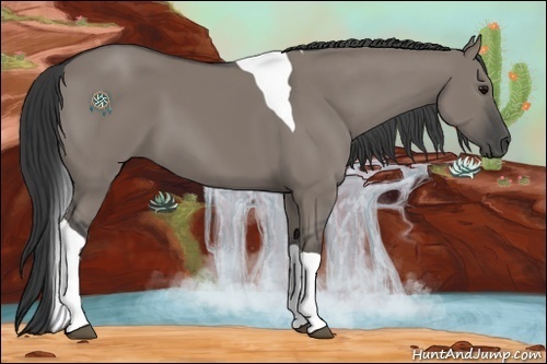 Horse Color:Grullo Tobiano