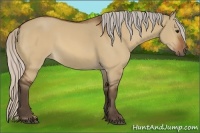 Horse Color:Silver Bay Dun