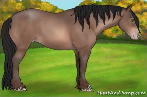 Horse Color:Gray Amber Champagne 