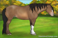 Horse Color:Gray Amber Champagne 