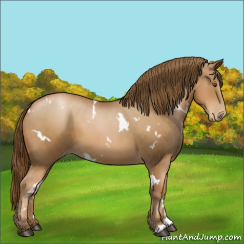 Horse Color:White Spotted Liver Chestnut Pearl 