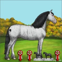 Horse Color:Classic Champagne Chinchilla Dun Brindle