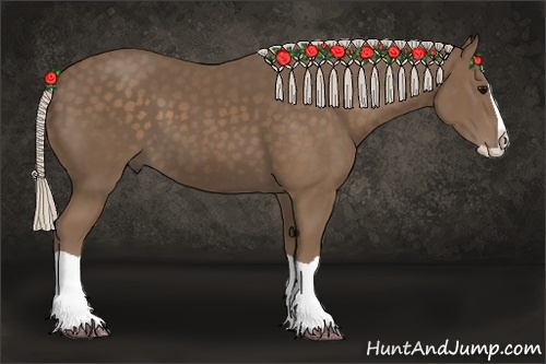 Horse Color:Silver Black Splash