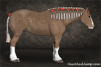 Horse Color:Silver Black Splash 