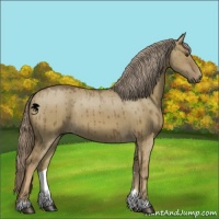 Horse Color:Chocolate Palomino Dun Brindle 