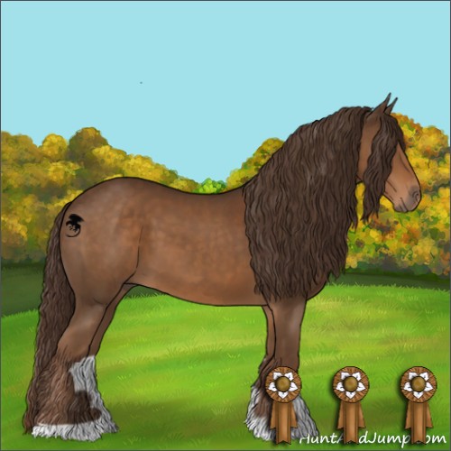 Horse Color:Liver Chestnut 