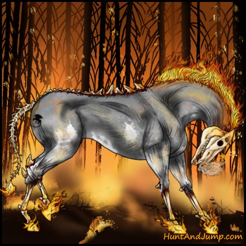 Horse Color:Grullo Chinchilla Splash 