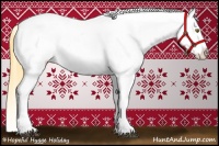 Horse Color:Buckskin Dun Appaloosa