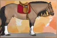 Horse Color:Bay Dun Rabicano 