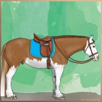 Horse Color:Chestnut Splash 