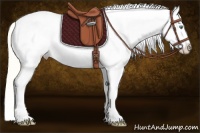 Horse Color:White Spotted Gold Cream Champagne Dun Tobiano Blanket 