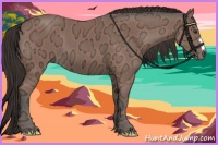 Horse Color:Brown Ice