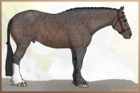 Horse Color:Brown Ice 