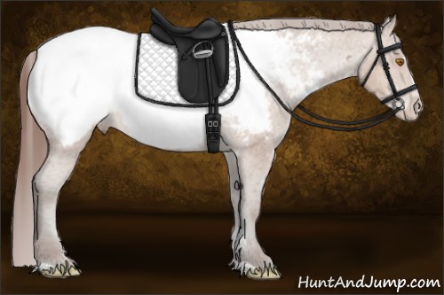 Horse Color:Sable Champagne Sabino Snowcap