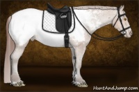 Horse Color:Sable Champagne Sabino Snowcap