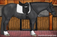 Horse Color:Black Rabicano