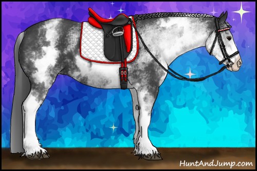 Horse Color:White Spotted Black 