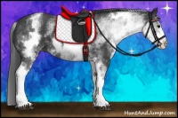 Horse Color:White Spotted Black