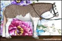 Horse Color:Chestnut Ice Splash 