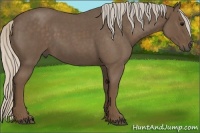 Horse Color:Silver Blue Roan 