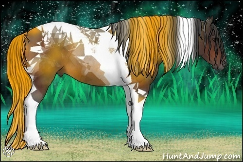 Horse Color:Bay Tobiano 
