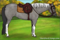 Horse Color:Grullo Roan Tobiano