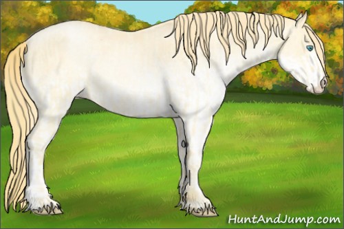 Horse Color:Buckskin Roan Pearl  and White Spotted Buckskin Pearl 