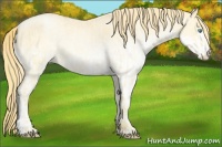 Horse Color:Buckskin Roan Pearl and White Spotted Buckskin Pearl