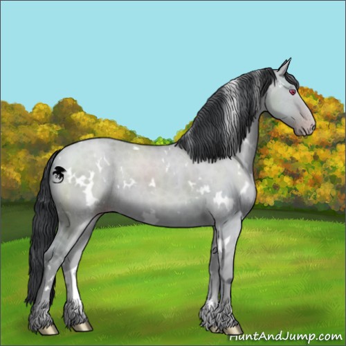 Horse Color:White Spotted Classic Champagne Chinchilla Dun 