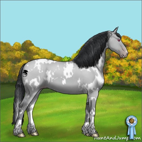 Horse Color:White Spotted Classic Champagne Chinchilla Dun