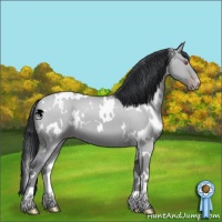 Horse Color:White Spotted Classic Champagne Chinchilla Dun