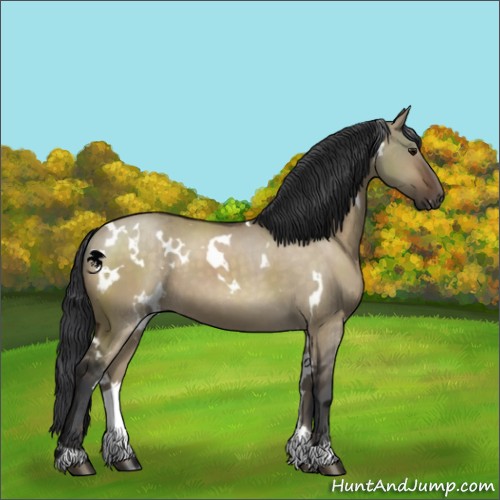 Horse Color:White Spotted Brown Dun