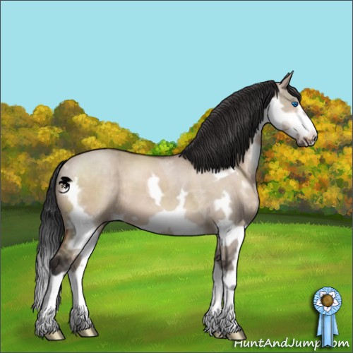 Horse Color:Brown Dun Splash Frame 