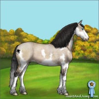 Horse Color:Brown Dun Splash Frame