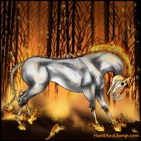 Horse Color:Silver Amber Champagne Chinchilla 