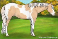Horse Color:Silver Amber Champagne Splash Tobiano 