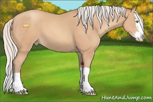 Horse Color:Silver Amber Champagne Splash 