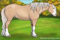 Horse Color:Silver Amber Champagne Splash