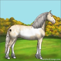 Horse Color:Silver Classic Champagne Dun Sabino Frame 